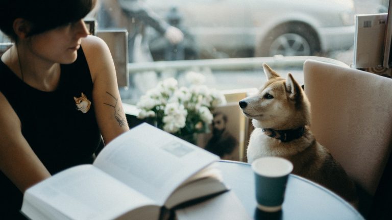 Dogs are Customers, Too: Brands with a Dog Customer Experience