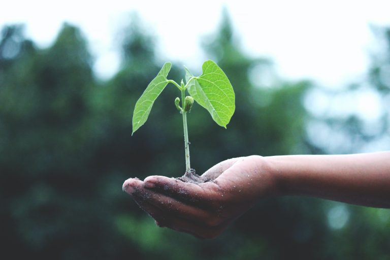 The Best Growth Channels for Startups