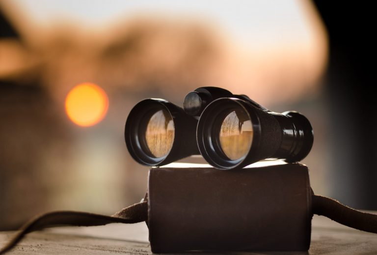 2022 Look Ahead: LiveHelpNow’s Upcoming Software Updates